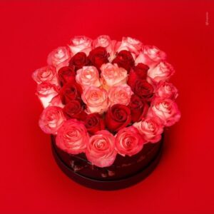 Box G Pink Red