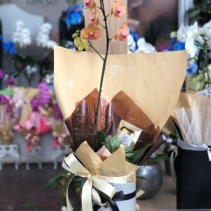 Orquídea na caixa