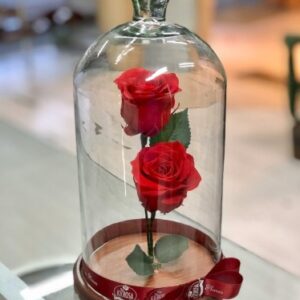 Rosa Eterna Red Duo